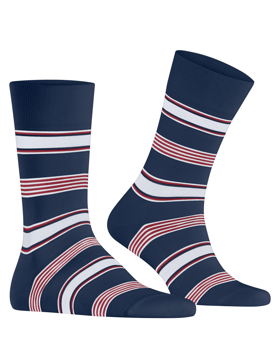 royal blue-stripe